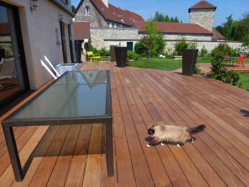 Terrasse en ipé avec chat
