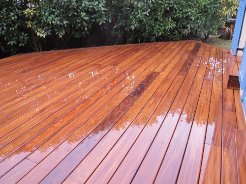 Terrasse en Bois