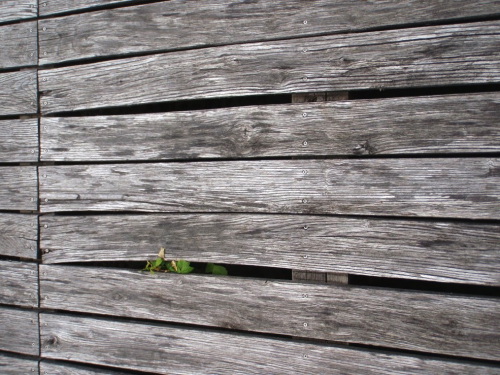 Terrasse En Robinier Faux Acacia Avec Deformations