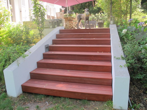 Terrasse en Bois