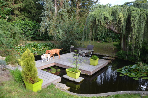 Terrasse en Bois sur tang