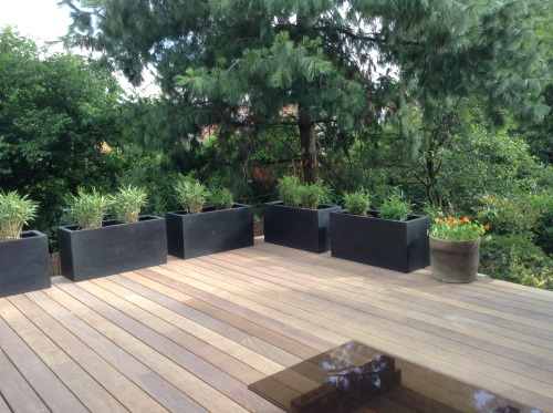 Terrasse en Bois