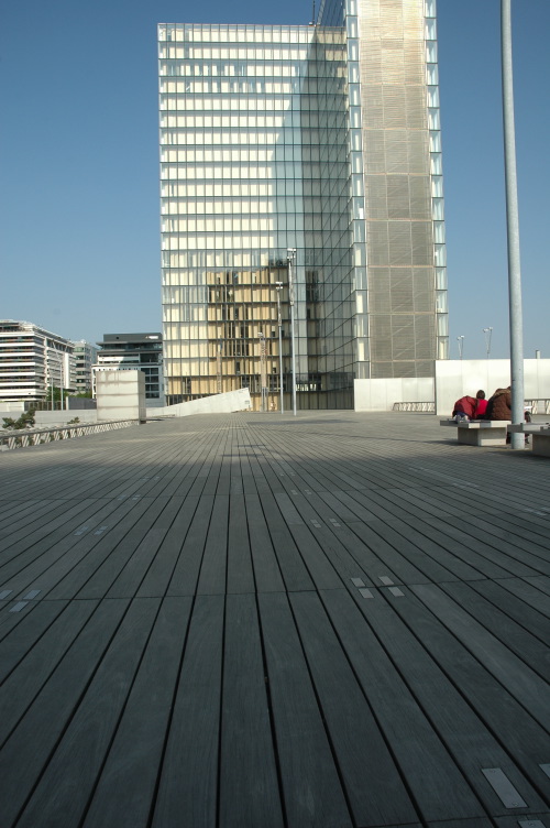 Terrasse en bois BNF-1