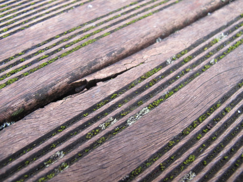 Terrasse en Bois avec saletés incrutées dans les rainues