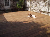 Terrasse en remplacementn d'un jardinet de 25m2