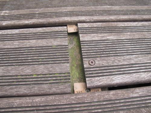 Habillage d'un escalier en bton et terrasse en padouk