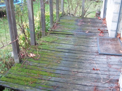 terrasse rainure infeste par la mousse 