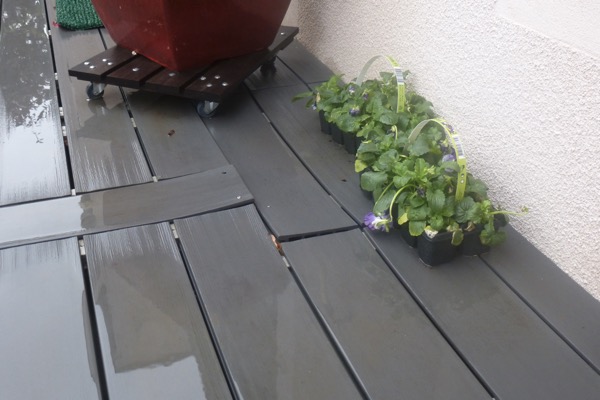 Escaliers de terrasse en bois moisie 