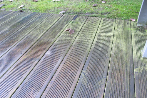 Terrasse avec lames de bois rainures avec de la mousse