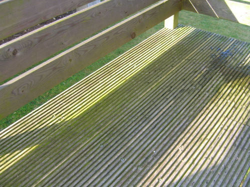 Terrasse avec lames de bois rainurées avec de la mousse